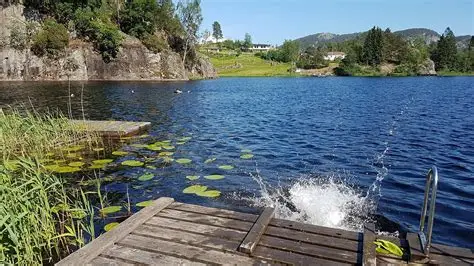 spot-image